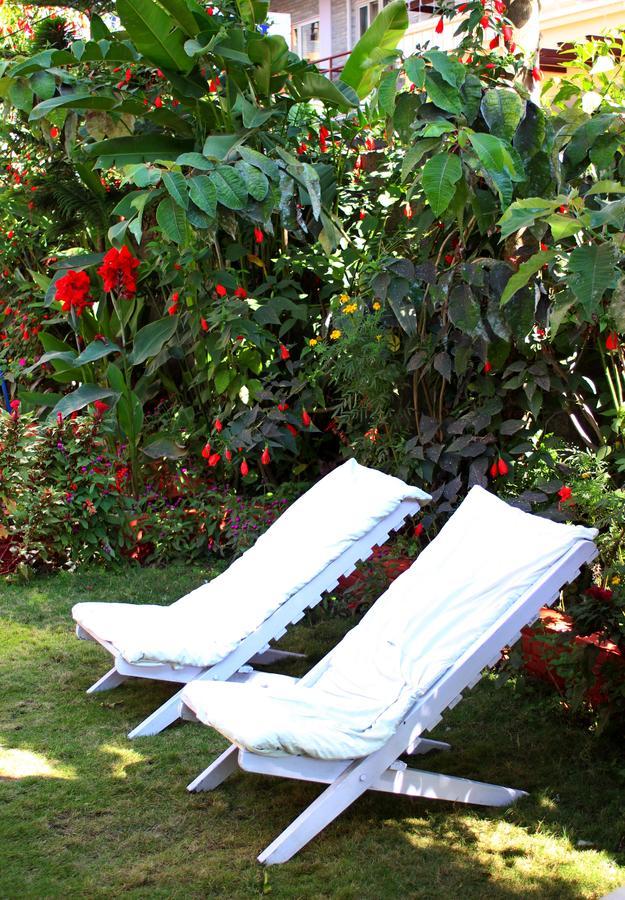 Hotel Angel Pokhara Exterior photo