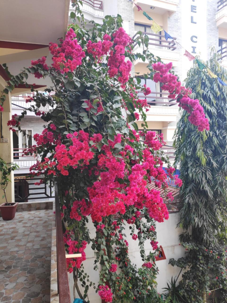 Hotel Angel Pokhara Exterior photo